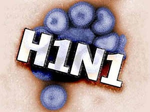 Свиной грипп - как тормоз экономики